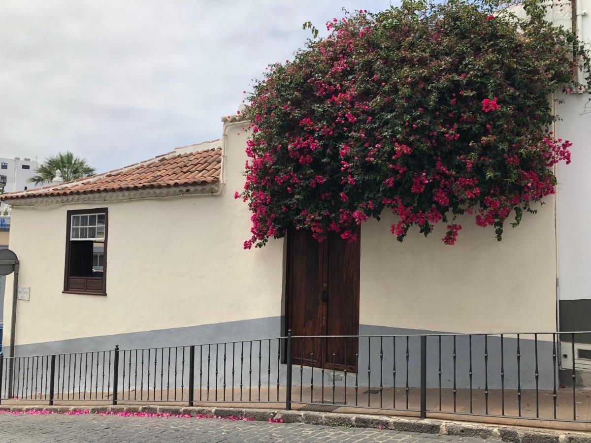 Appartamento Apartamento La Penca 3 Garachico Garachico  Esterno foto